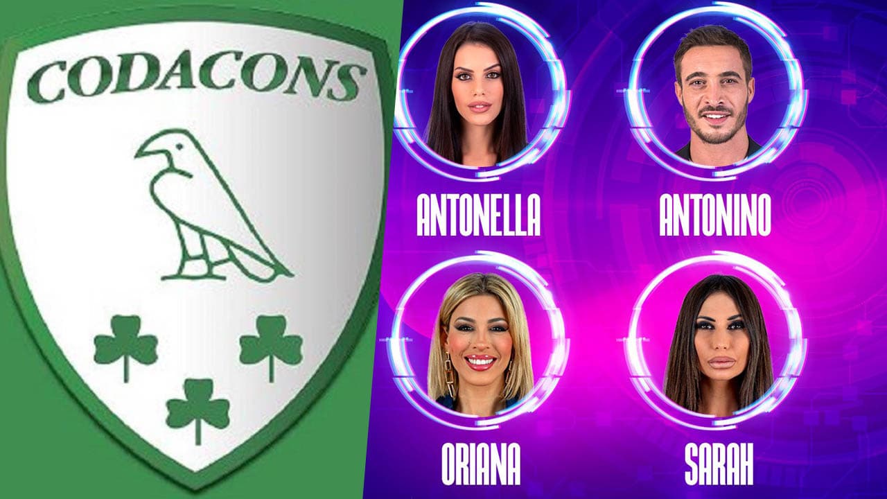 Televoto GF Vip: interviene il Codacons dopo il caso sulla Fiordelisi