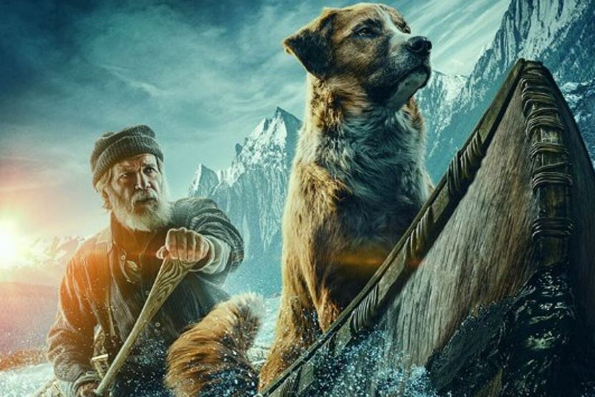 Stasera in tv, oggi 30 novembre 2021: Il Collegio e Il richiamo della foresta