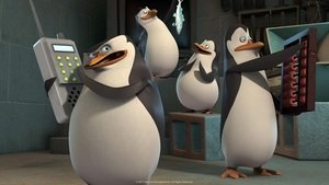 I Pinguini di Madagascar: trama e curiosità sul film in onda sabato 22 maggio 2021