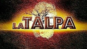 La Talpa conduttrice: spunta il nome di Belen. Reality rimandato?