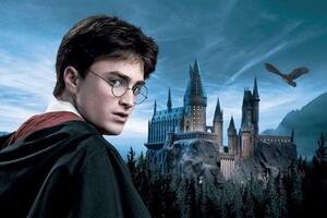 Mostra Harry Potter: dopo Mediaset il maghetto arriva a Milano, data di inizio ed eventi 