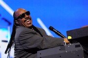 Stevie Wonder Soul Genius