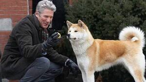 Hachiko - il tuo migliore amico: trama e curiosità sul film in onda domenica 23 maggio