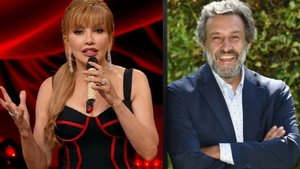 Ascolti TV 26 novembre 2022: assente L’Eredità, record per Milly Carlucci