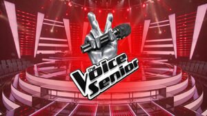 Stasera in tv, 21 gennaio 2022: The Voice Senior e GF Vip