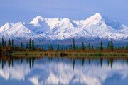 Wild Alaska