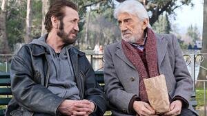 Palinsesto Rai Natale 2022: tanti classici ed un omaggio a Gigi Proietti