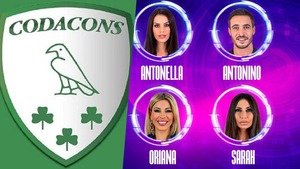 Televoto GF Vip: interviene il Codacons dopo il caso sulla Fiordelisi