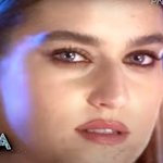 Chi è Daniele Dezi, il fidanzato di Gaia Gozzi?