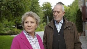 Tempesta d’amore, anticipazioni 11 maggio: guerra in casa Sonnbichler 